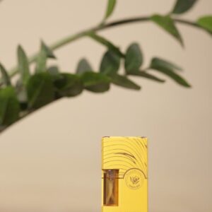 اسانس طبیعی گل نرگس
